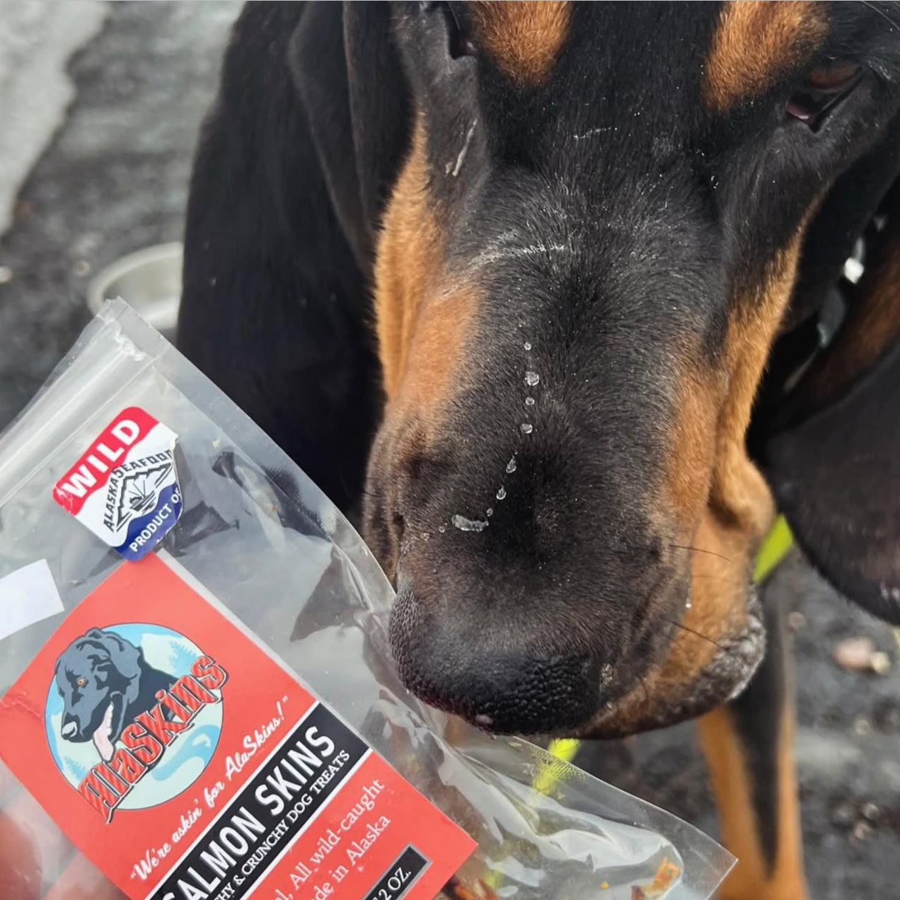 AlaSkins Salmon Dog Treats