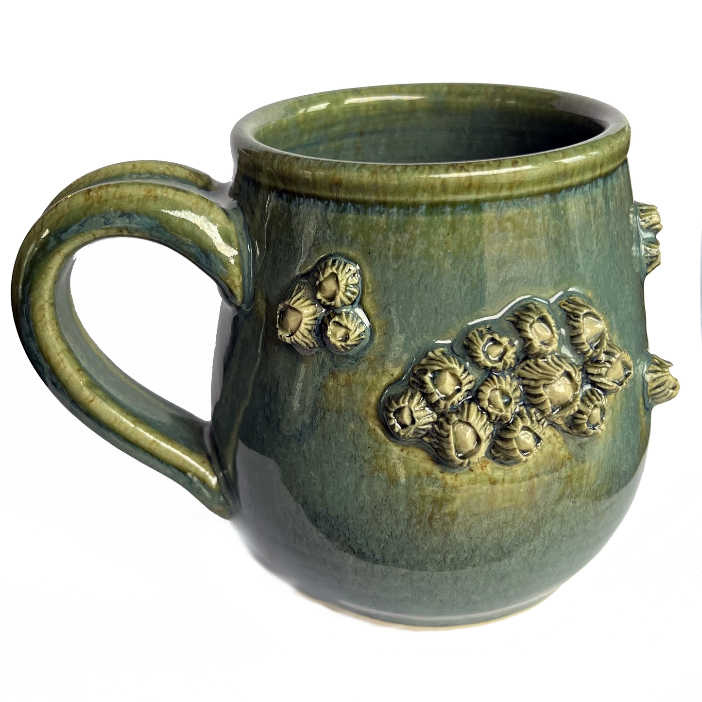 Barnacle Mugs