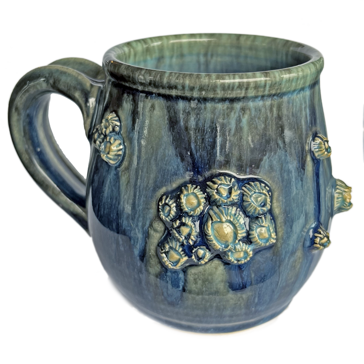 Barnacle Mugs