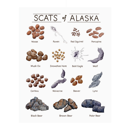 Scats of Alaska prints