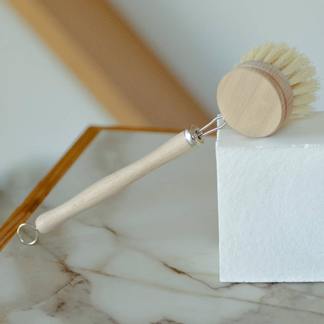 Dish Brushes