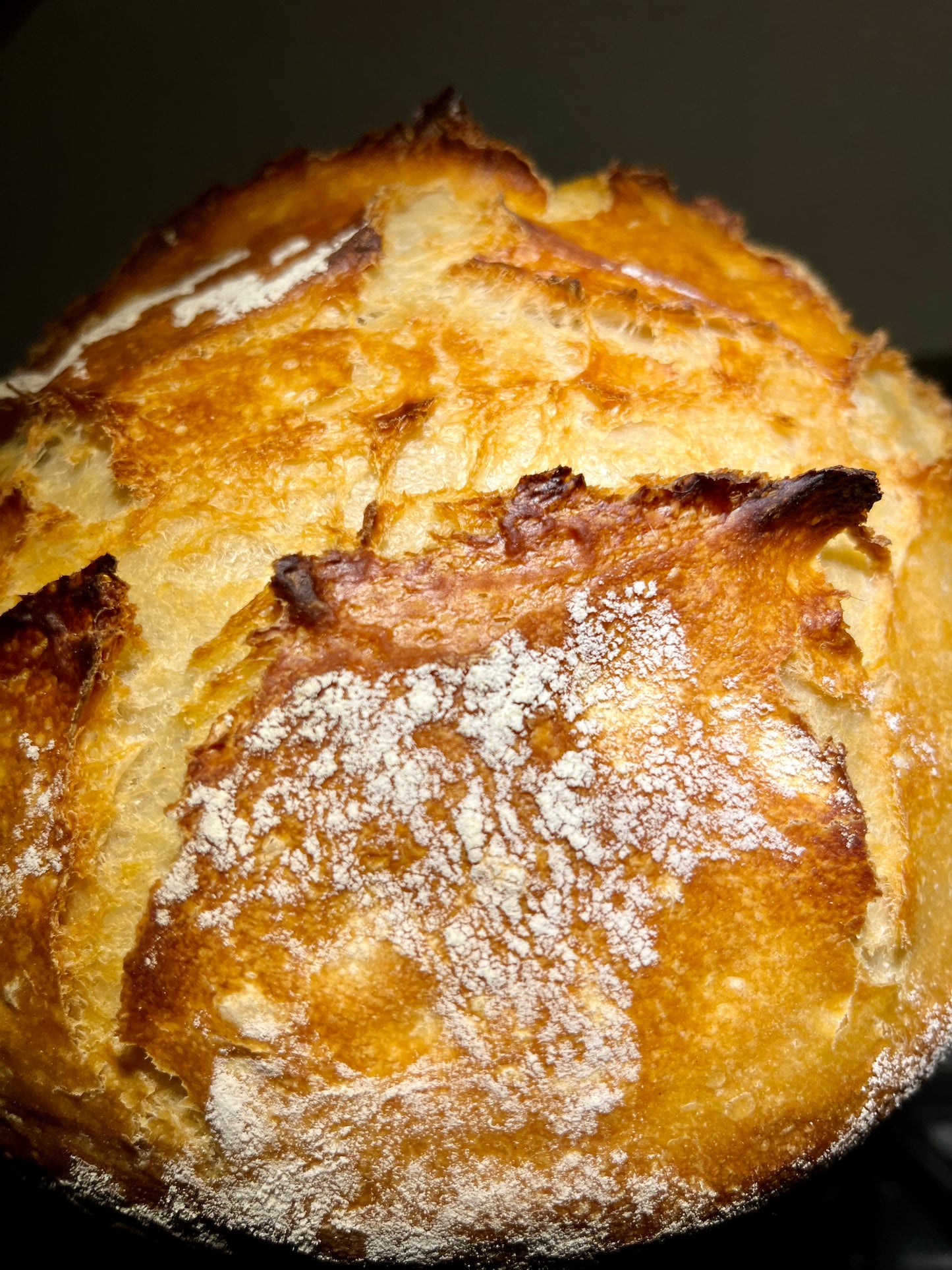Alaskan Sourdough Starter