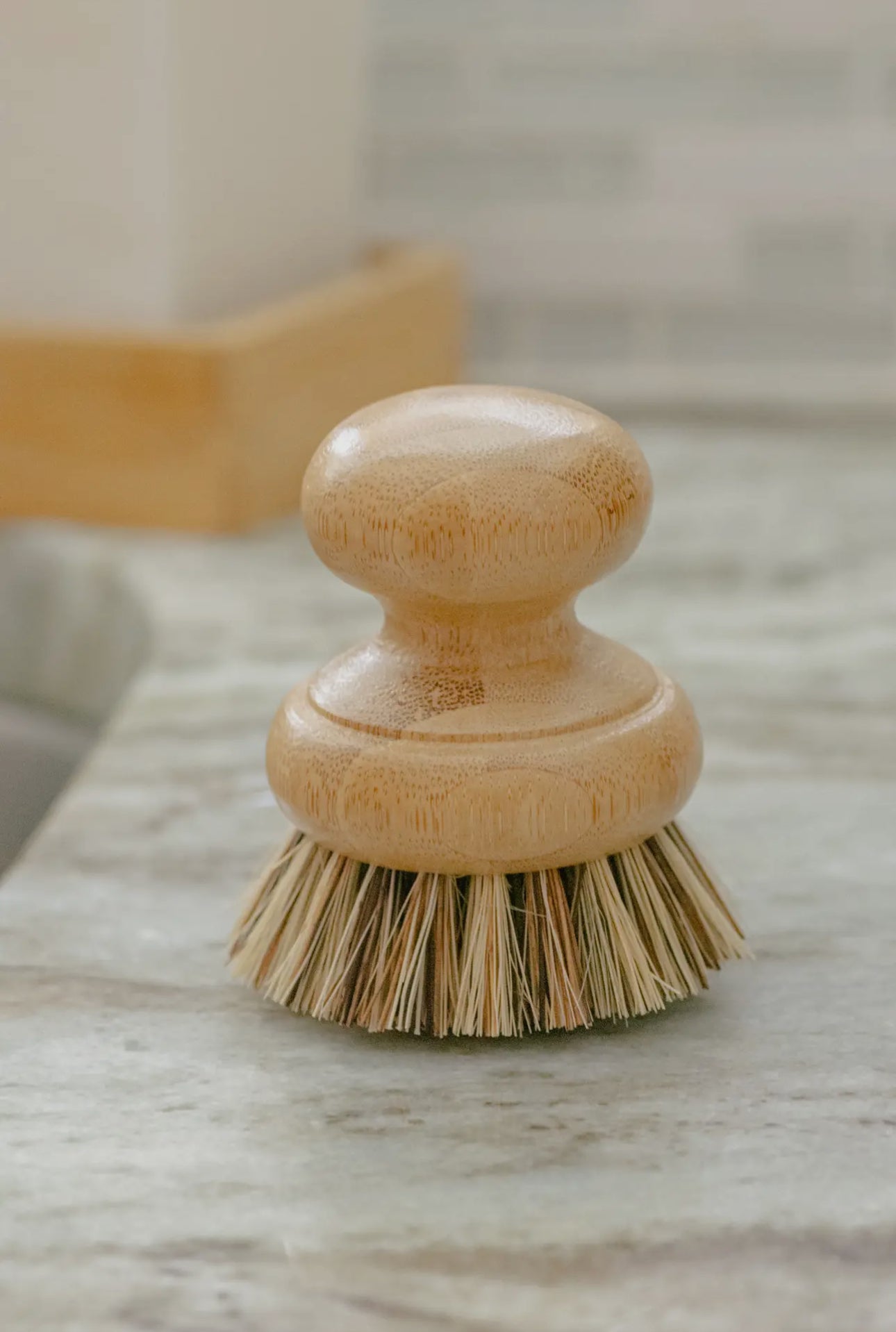 Dish Brushes