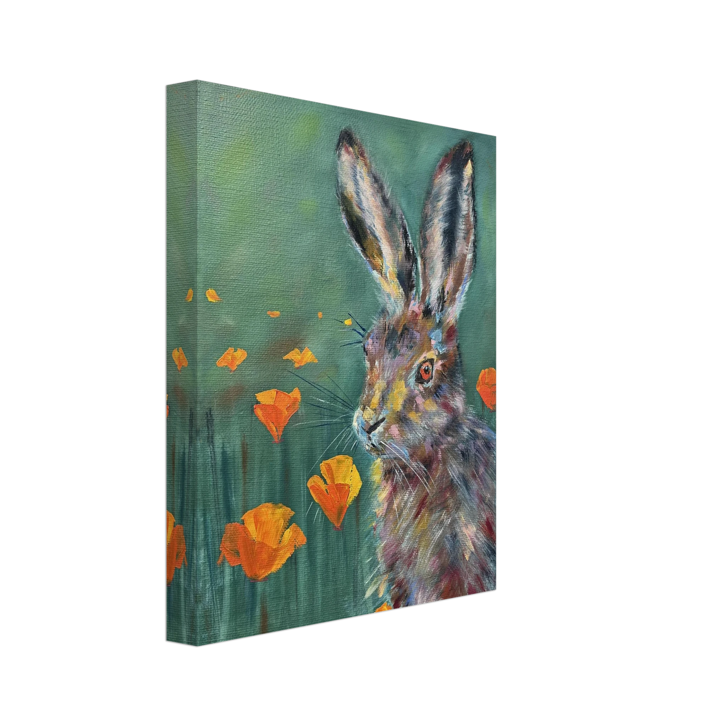 72a6f401-09cd-4b3d-9bf6-00f65d7fd2bd