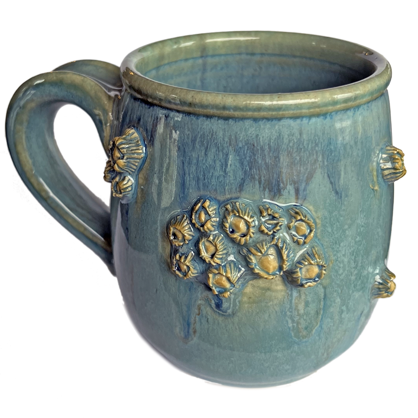 Barnacle Mugs