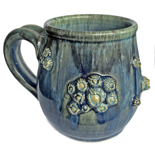 Barnacle Mugs