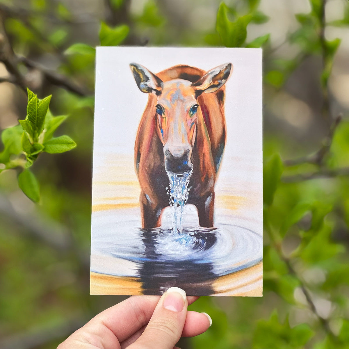 Art Postcards