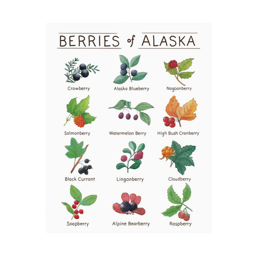 Berries of Alaska prints