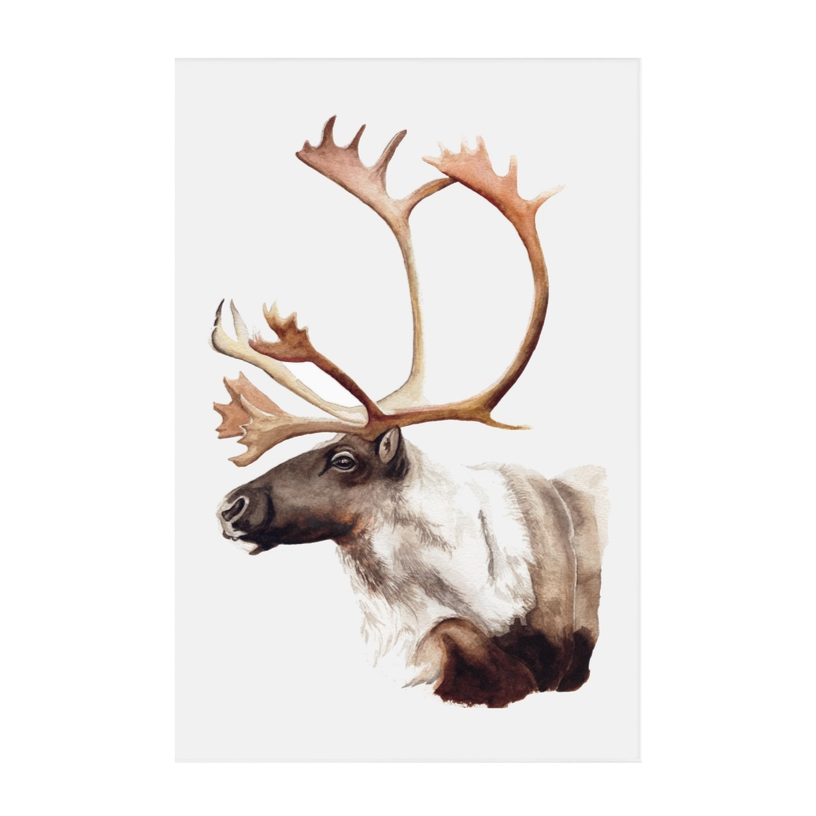 Caribou prints