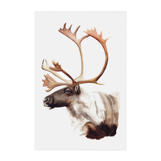 Caribou prints