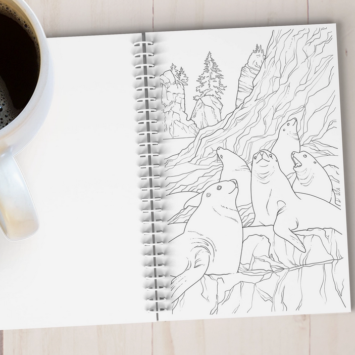 Coastal Alaska Art Coloring Book