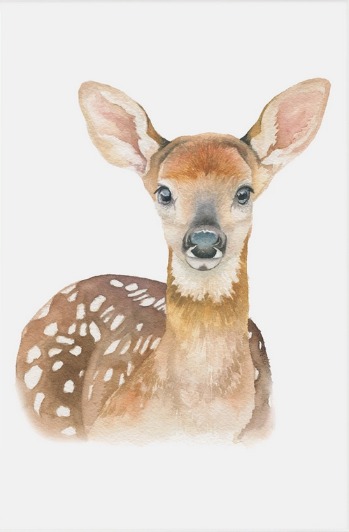 Fawn prints