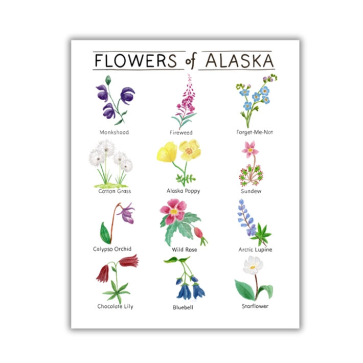 Flowers of Alaska prints