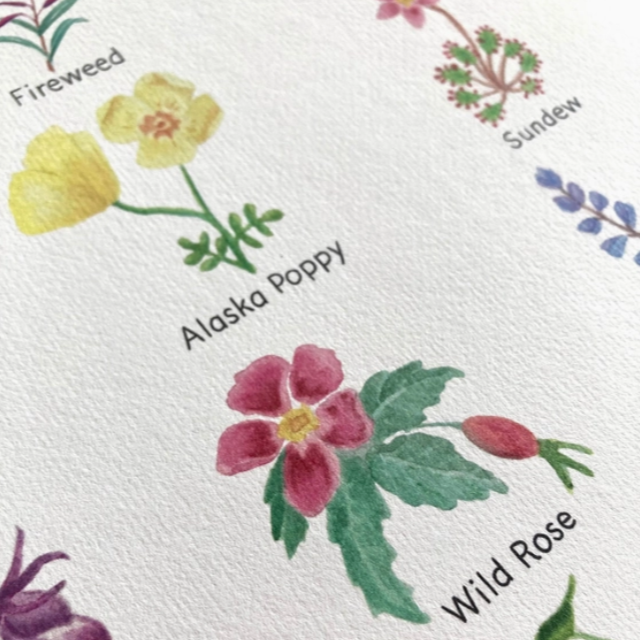 Flowers of Alaska prints