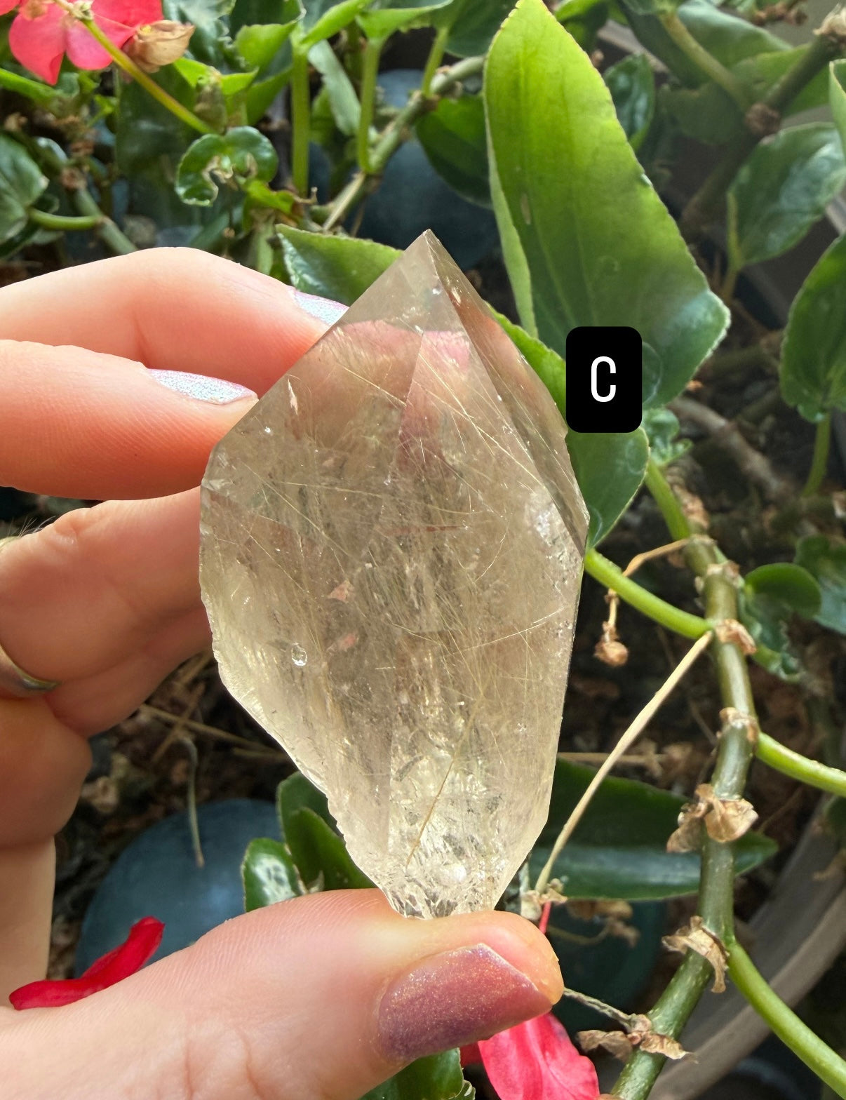 Gold Rutile Quartz Crystals