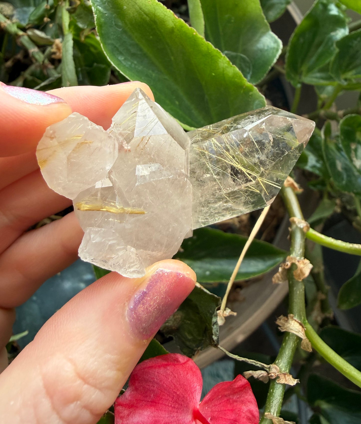 Gold Rutile Quartz Crystals