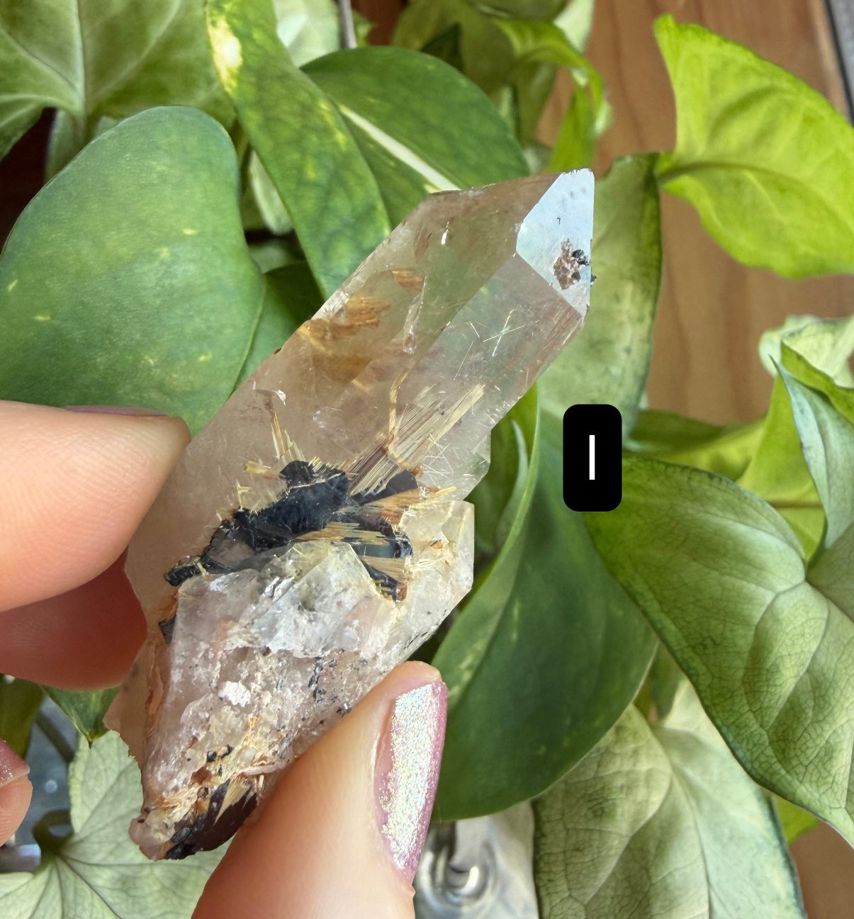 Gold Rutile Quartz Crystals