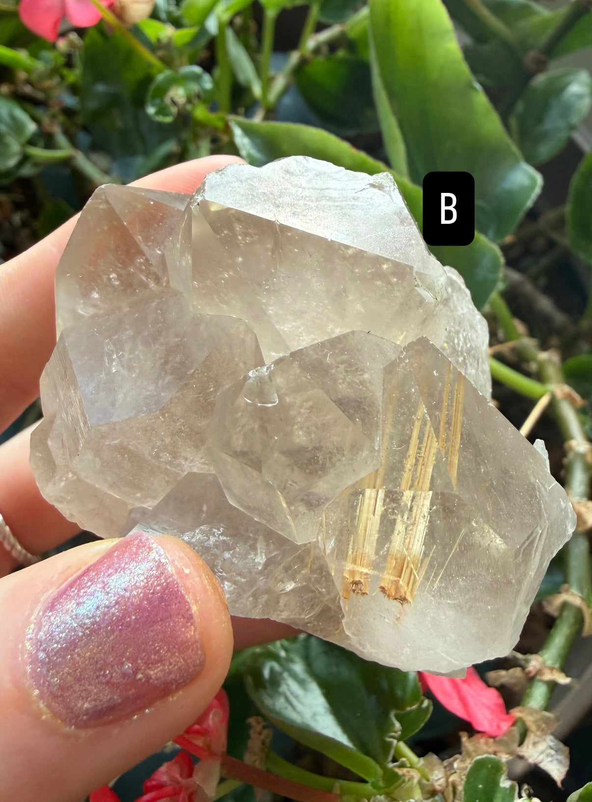Gold Rutile Quartz Crystals