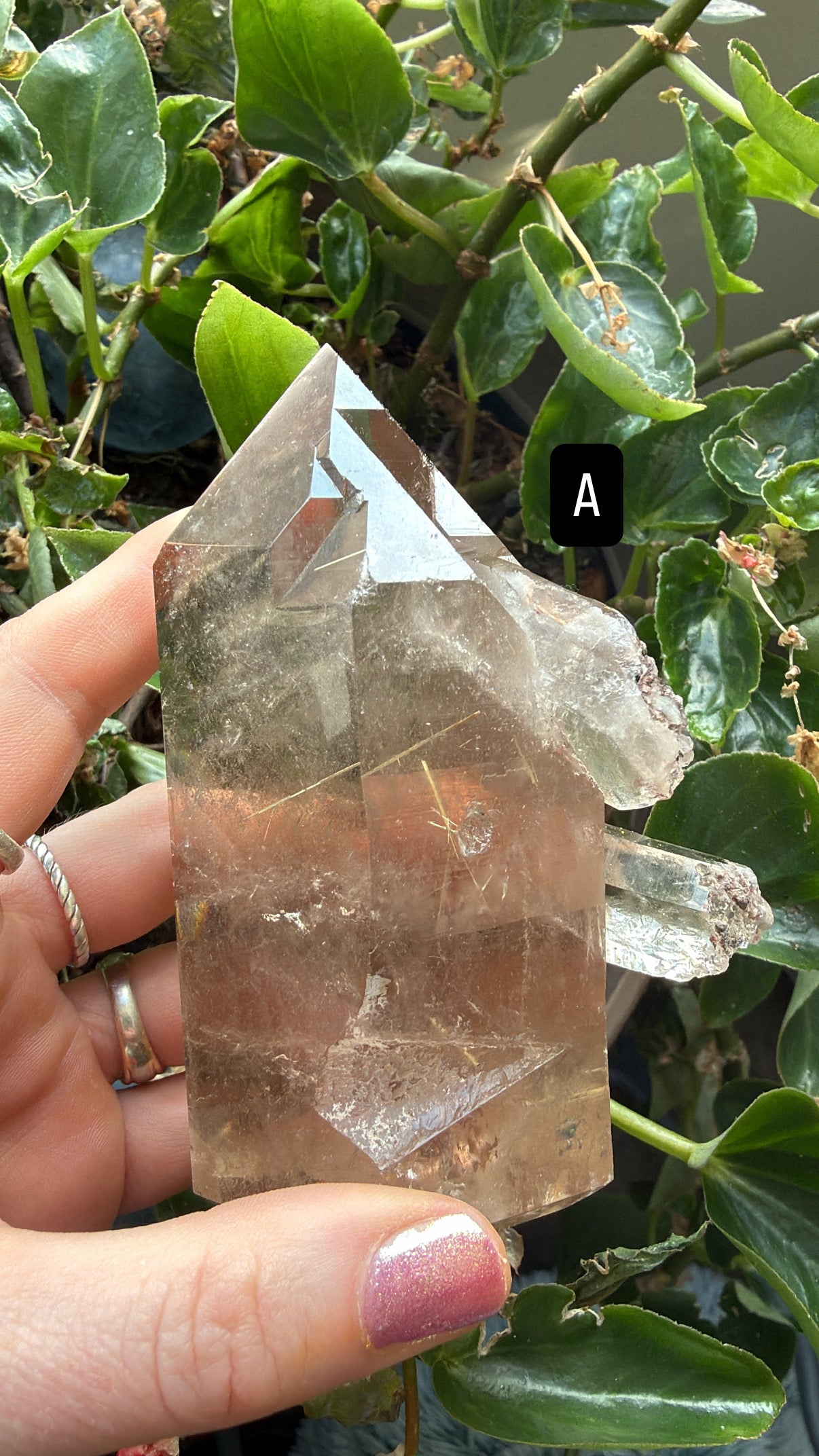 Gold Rutile Quartz Crystals