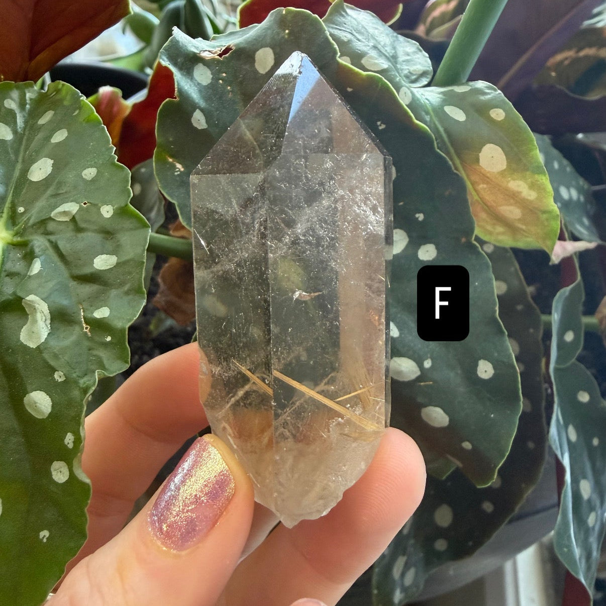 Gold Rutile Quartz Crystals