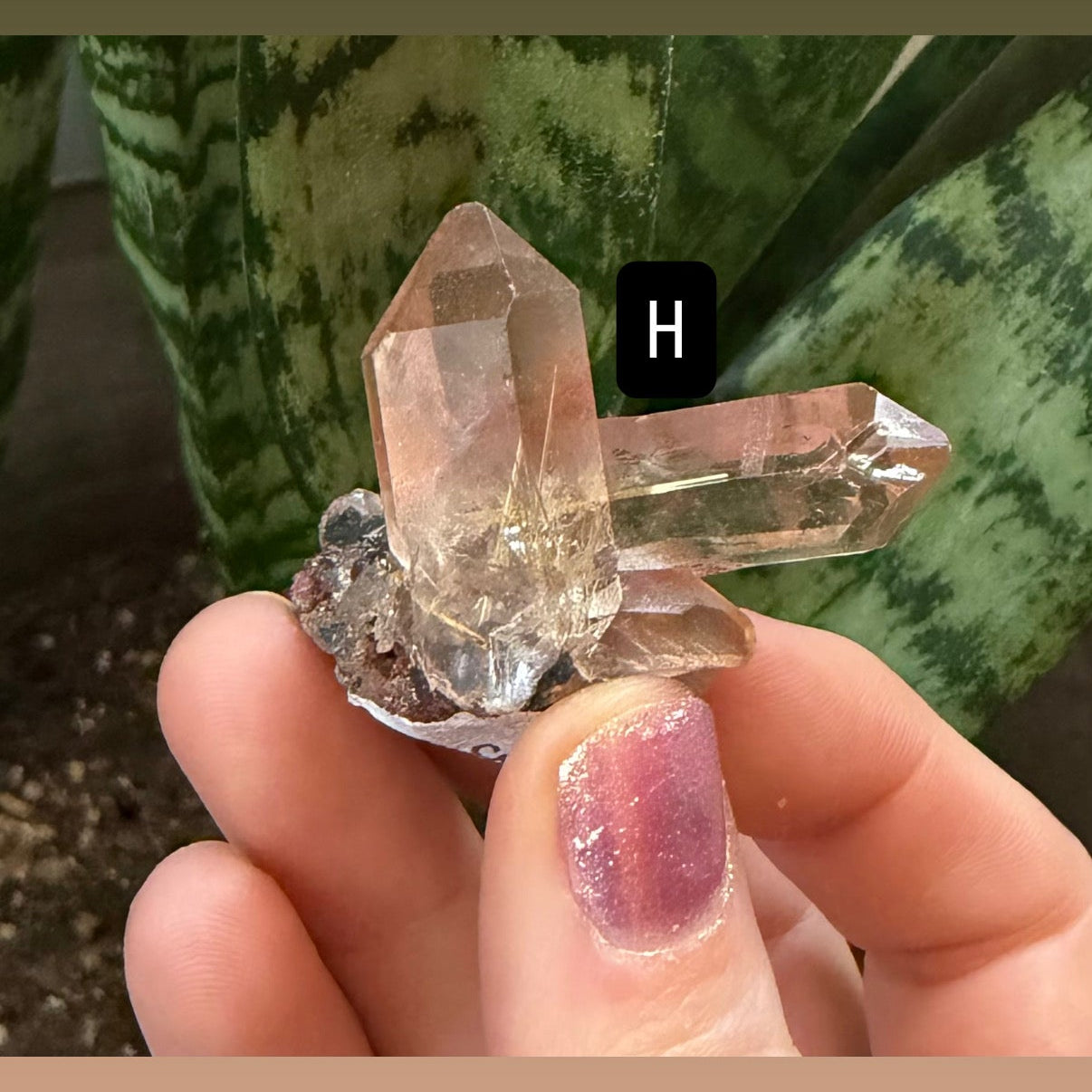 Gold Rutile Quartz Crystals