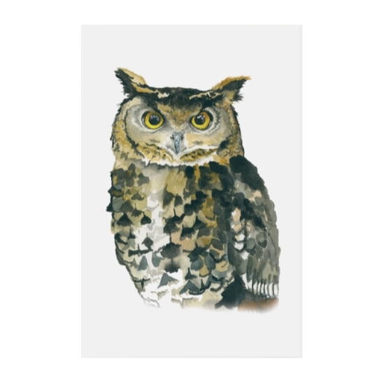 Owl prints