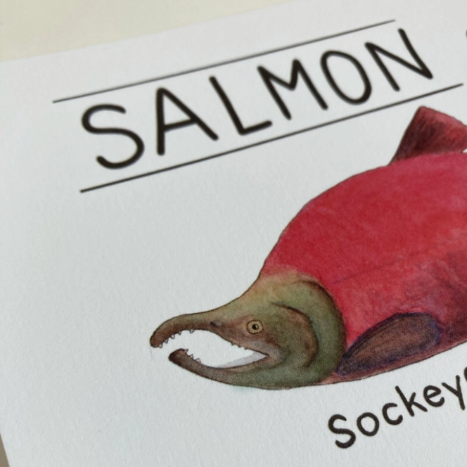 Salmon of Alaska prints