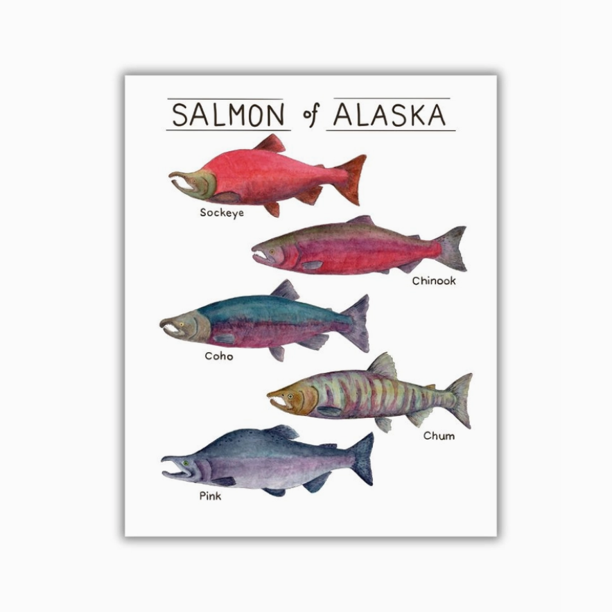 Salmon of Alaska prints