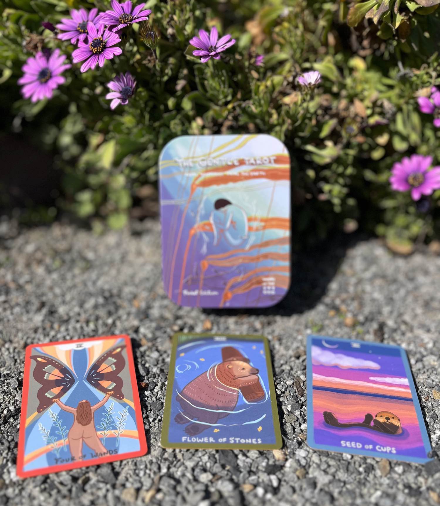 The Gentle Tarot Pocket Deck – Alaska Salt Co.