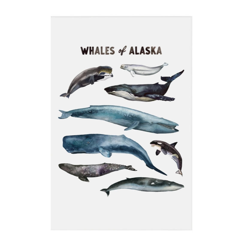 Whales of Alaska prints