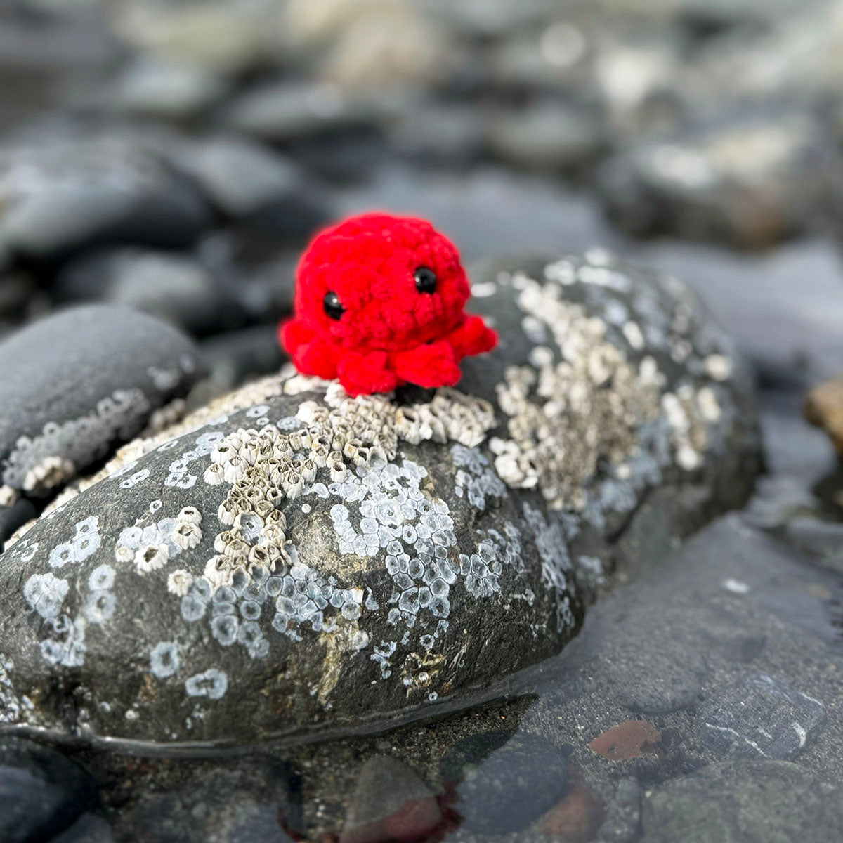 Mini Octopus Crochet Creatures