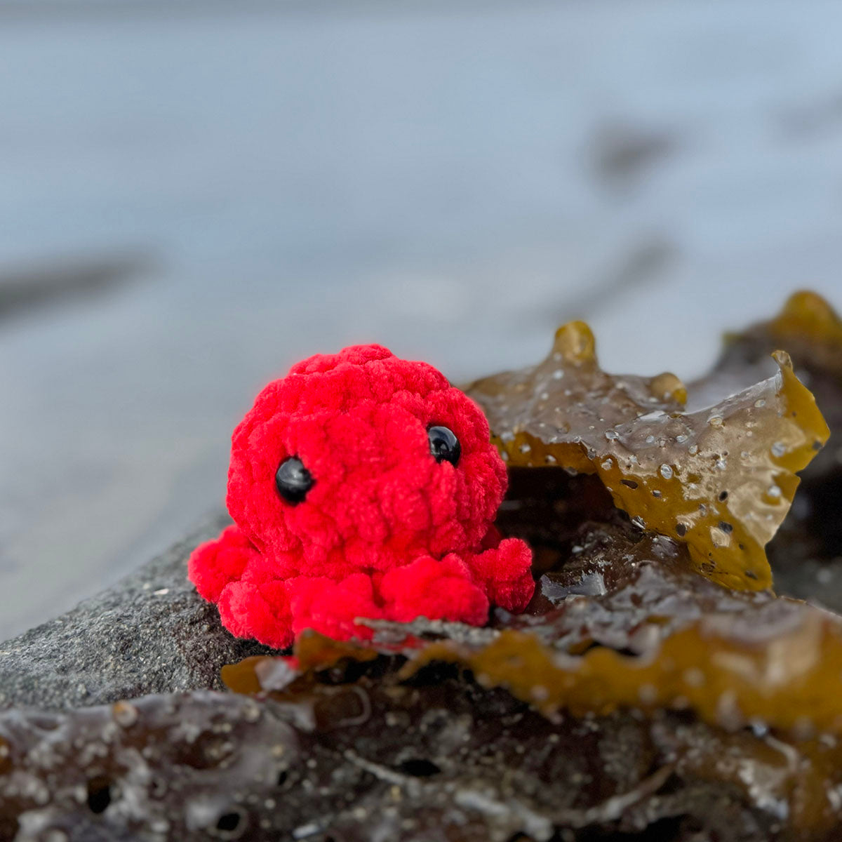 Mini Octopus Crochet Creatures