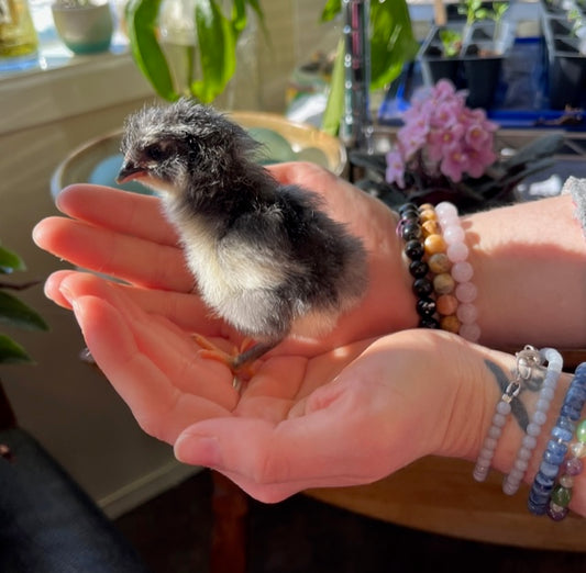 One of a Kind ~ Crystal Bracelet